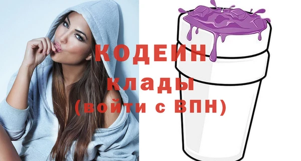 ешки Бородино