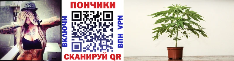 гидра маркетплейс  Краснообск  Каннабис индика 